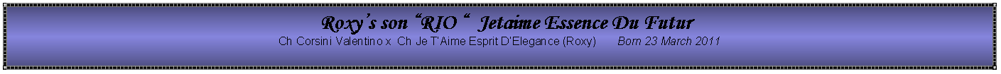 Text Box:   Roxy�s son �RIO �  Jetaime Essence Du FuturCh Corsini Valentino x  Ch Je T�Aime Esprit D�Elegance (Roxy)       Born 23 March 2011