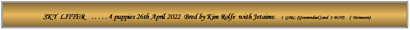 Text Box:   SKY  LITTER    . . . . . 4 puppies 26th April 2022  Bred by Kim Rolfe  with Jetaime.   1  GIRL  (Groenendael ) and  3  BOYS     (  Terveuren)